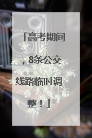 高考期间，8条公交线路临时调整！