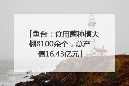 鱼台：食用菌种植大棚8100余个，总产值16.43亿元