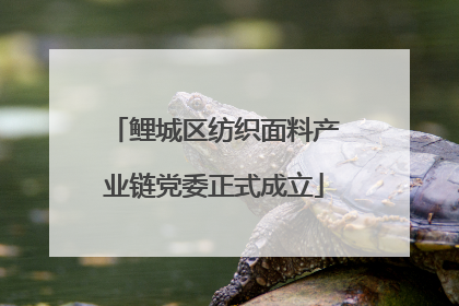 鲤城区纺织面料产业链党委正式成立