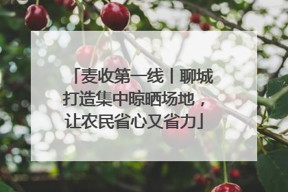 麦收第一线丨聊城打造集中晾晒场地，让农民省心又省力