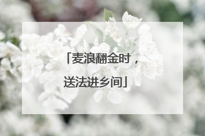 麦浪翻金时，送法进乡间