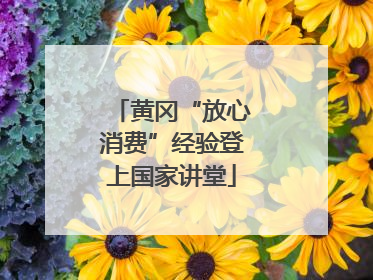 黄冈“放心消费”经验登上国家讲堂