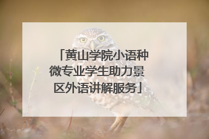 黄山学院小语种微专业学生助力景区外语讲解服务