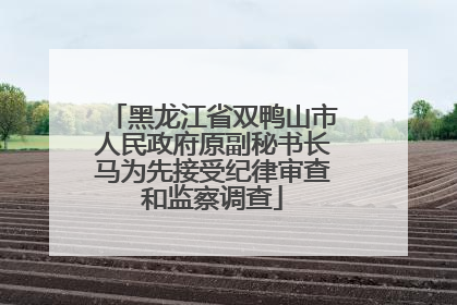黑龙江省双鸭山市人民政府原副秘书长马为先接受纪律审查和监察调查