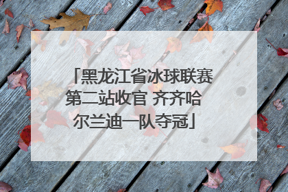 黑龙江省冰球联赛第二站收官 齐齐哈尔兰迪一队夺冠