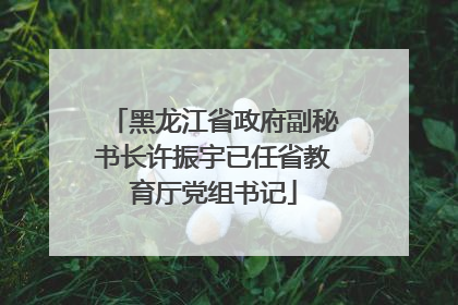 黑龙江省政府副秘书长许振宇已任省教育厅党组书记
