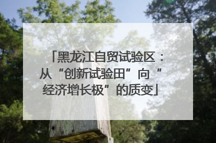 黑龙江自贸试验区：从“创新试验田”向“经济增长极”的质变