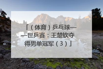 （体育）乒乓球——世乒赛：王楚钦夺得男单冠军（3）