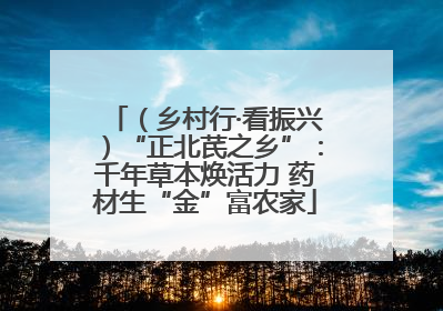 （乡村行·看振兴）“正北芪之乡”：千年草本焕活力 药材生“金”富农家