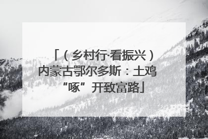 （乡村行·看振兴）内蒙古鄂尔多斯：土鸡“啄”开致富路