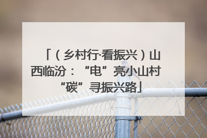 （乡村行·看振兴）山西临汾：“电”亮小山村 “碳”寻振兴路