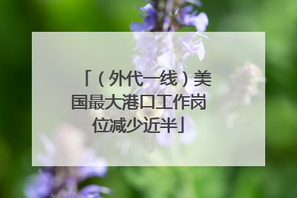 （外代一线）美国最大港口工作岗位减少近半