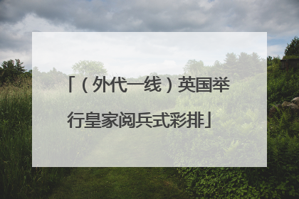 （外代一线）英国举行皇家阅兵式彩排