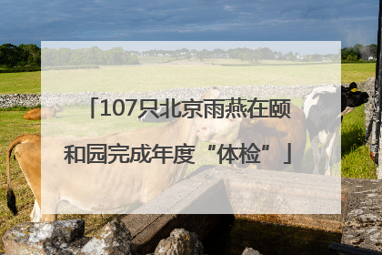 107只北京雨燕在颐和园完成年度“体检”