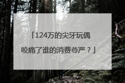 124万的尖牙玩偶 咬痛了谁的消费尊严？