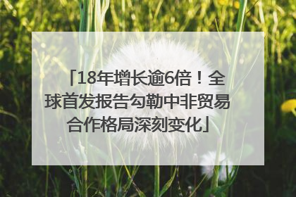 18年增长逾6倍！全球首发报告勾勒中非贸易合作格局深刻变化