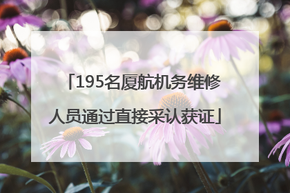195名厦航机务维修人员通过直接采认获证