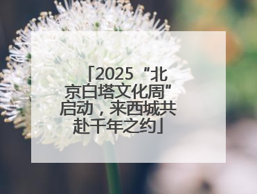 2025“北京白塔文化周”启动，来西城共赴千年之约
