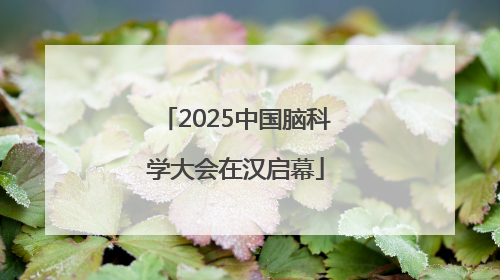 2025中国脑科学大会在汉启幕