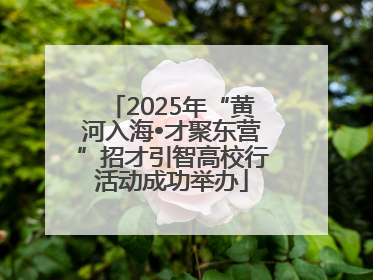 2025年“黄河入海•才聚东营”招才引智高校行活动成功举办