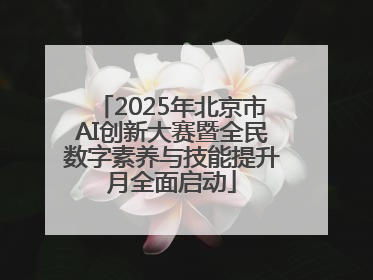 2025年北京市AI创新大赛暨全民数字素养与技能提升月全面启动