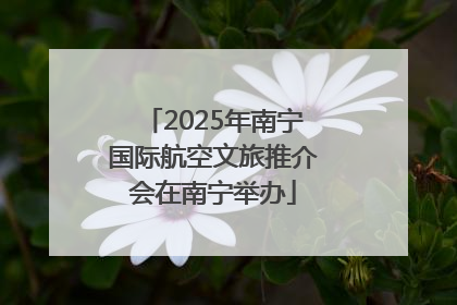 2025年南宁国际航空文旅推介会在南宁举办