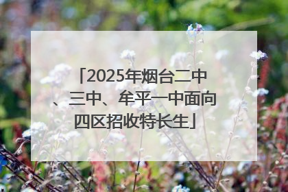 2025年烟台二中、三中、牟平一中面向四区招收特长生