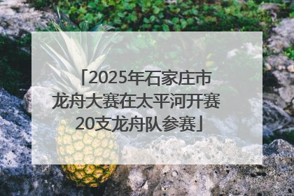 2025年石家庄市龙舟大赛在太平河开赛 20支龙舟队参赛