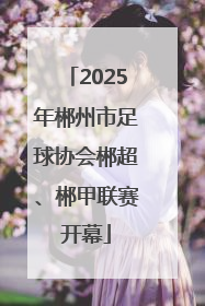 2025年郴州市足球协会郴超、郴甲联赛开幕