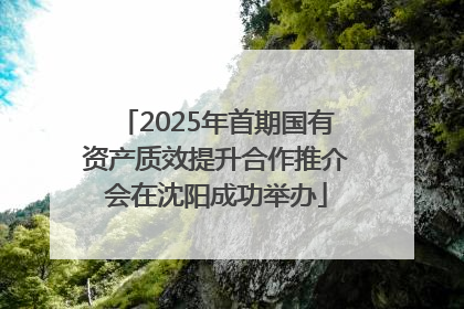 2025年首期国有资产质效提升合作推介会在沈阳成功举办