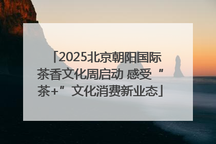 2025北京朝阳国际茶香文化周启动 感受“茶+”文化消费新业态