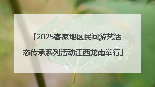 2025客家地区民间游艺活态传承系列活动江西龙南举行