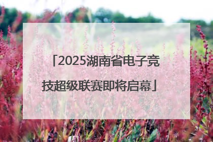 2025湖南省电子竞技超级联赛即将启幕