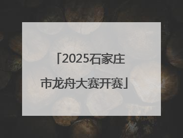 2025石家庄市龙舟大赛开赛