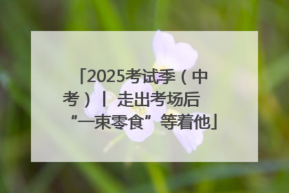 2025考试季（中考）丨 走出考场后 “一束零食”等着他