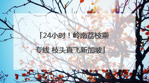 24小时！岭南荔枝乘专线 枝头直飞新加坡