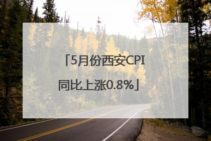 5月份西安CPI同比上涨0.8%