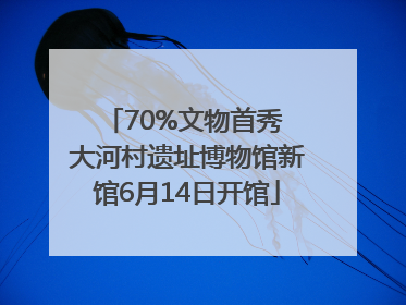70%文物首秀 大河村遗址博物馆新馆6月14日开馆