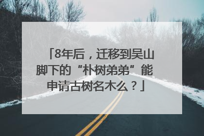 8年后，迁移到吴山脚下的“朴树弟弟”能申请古树名木么？