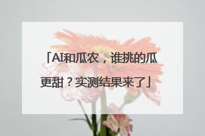 AI和瓜农，谁挑的瓜更甜？实测结果来了