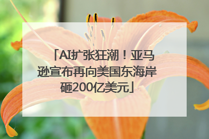 AI扩张狂潮！亚马逊宣布再向美国东海岸砸200亿美元