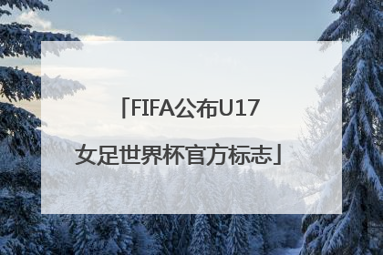 FIFA公布U17女足世界杯官方标志