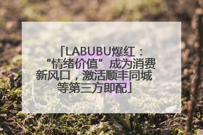 LABUBU爆红：“情绪价值”成为消费新风口，激活顺丰同城等第三方即配